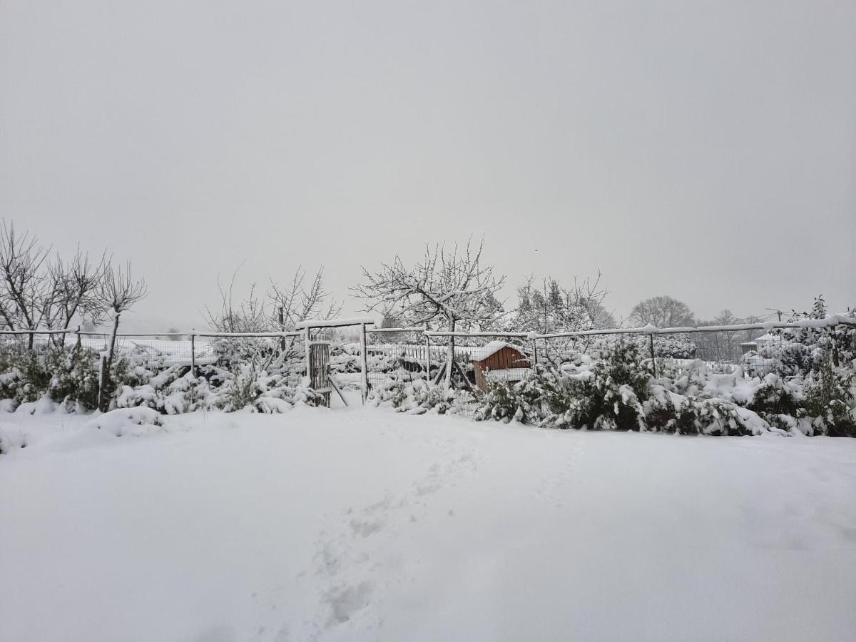Gorgeous Holiday Home In Stoumont With Garden 外观 照片